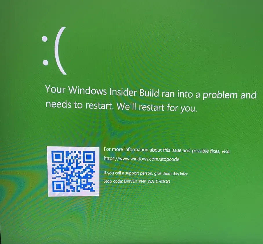A &#x27;Green Screen of Death&#x27; during the Windows 11 installation process